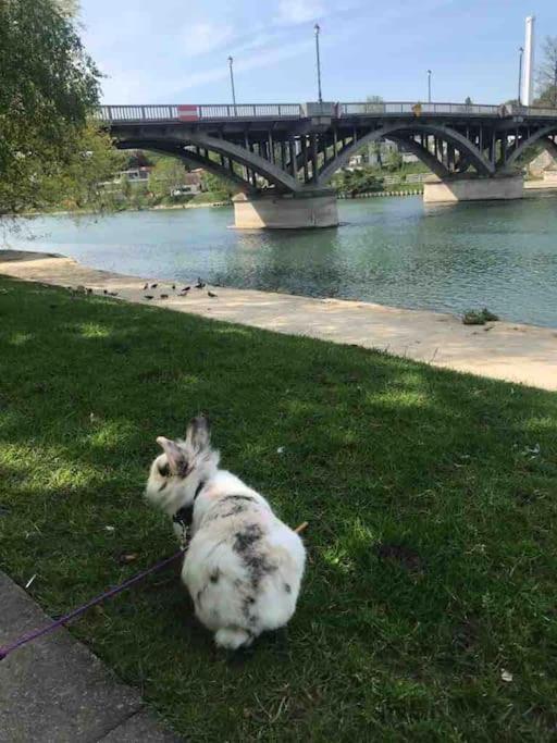 Bords De Marne Apartment *
